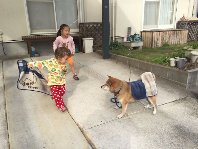 Spielen mit dem Nachbarhund 